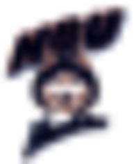 Houston Baptist Huskies