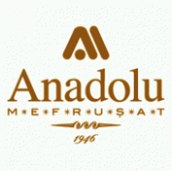 Niğde Anadolu FK AŞ