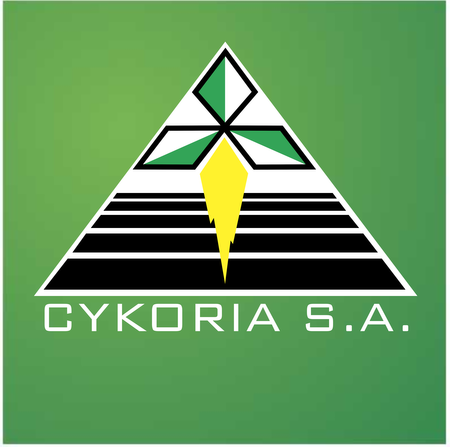 Cykoria