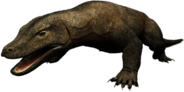 Komodo Dragon 3D Model