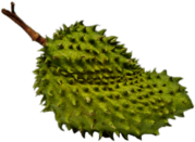 Whole Soursop