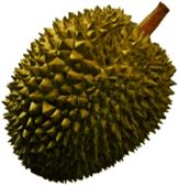 Durian