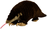 Pangolin Toy