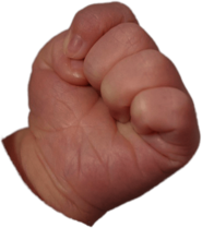 Clenched Baby Fist