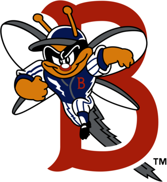 Binghamton Mets