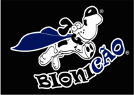 BIONICГO