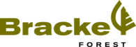 Bracke Forest