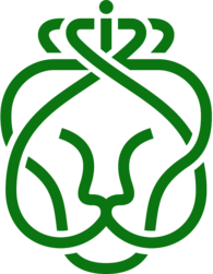 Ahold Delhaize logo thumbnail