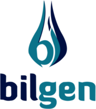 Bilgen