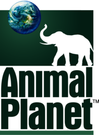 Animal Planet