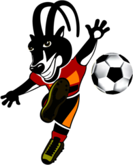 cocan 2010 PALANQUINHA