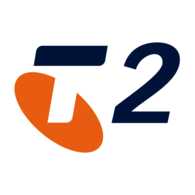 T2