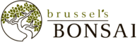Brussel's Bonsai 
