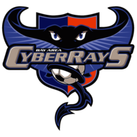 Bay Area Cyberrays