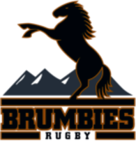 Brumbies