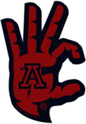Arizona Wildcats Foam Hand