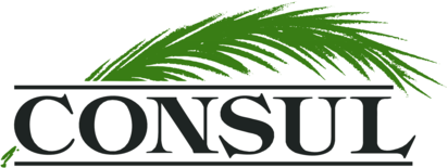 Consul