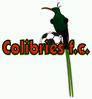 colibries
