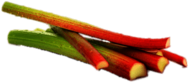 Rhubarb Sticks