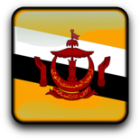 Brunei Flag Icon