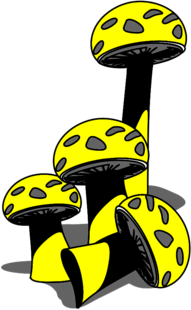 Yellow and Grey Mushrooms