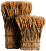Wheat Bundles