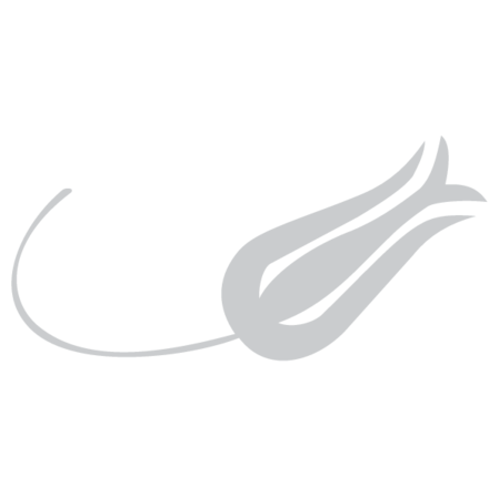 Turk Hava Yollari - THY - Lale Motifi