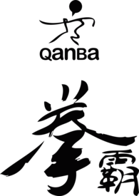 QanBa Fighting Joystick