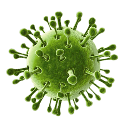 Green Virus With Tentacles