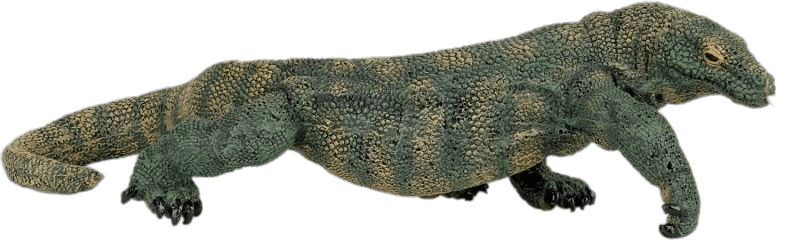 Komodo Dragon Toy