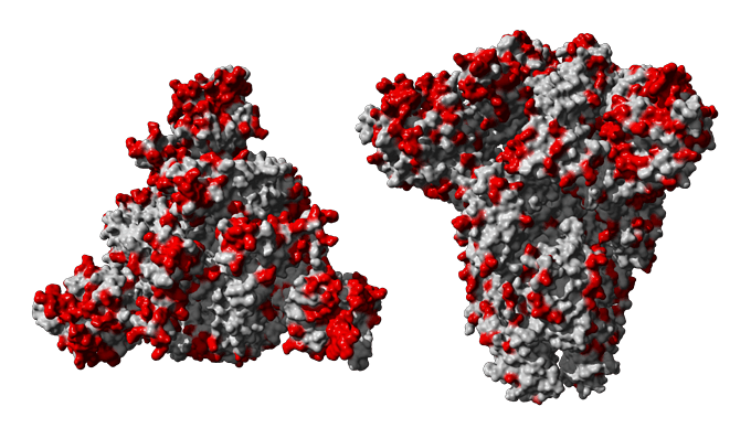 Coronavirus Stacking Up