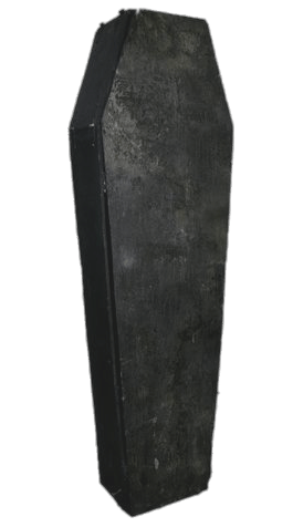 Standing Black Coffin