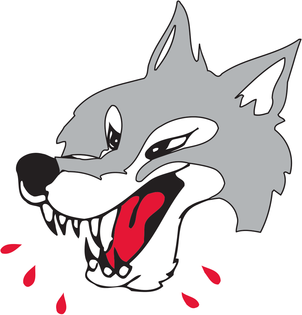 Sudbury Wolves 