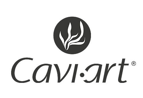 Cavi-art logo full