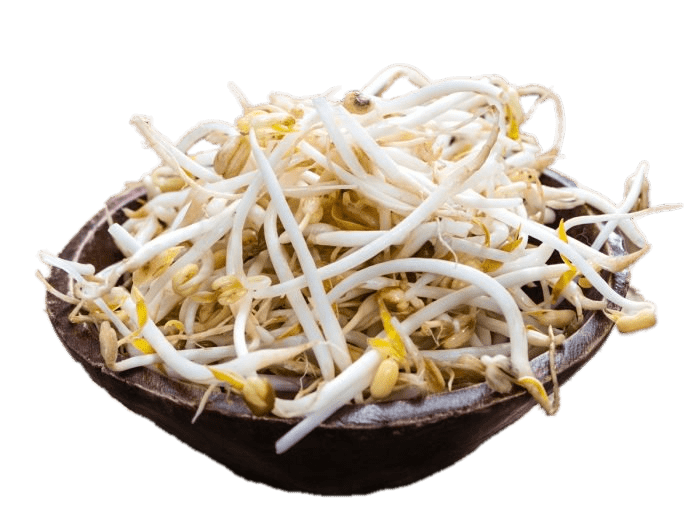 Bowl Of Soybean Sprouts