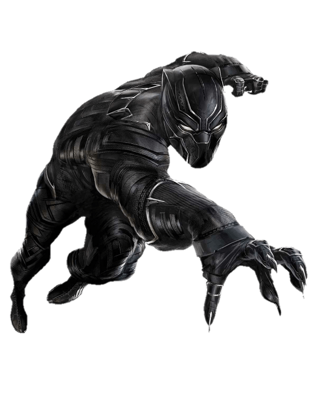 Black Panther Front