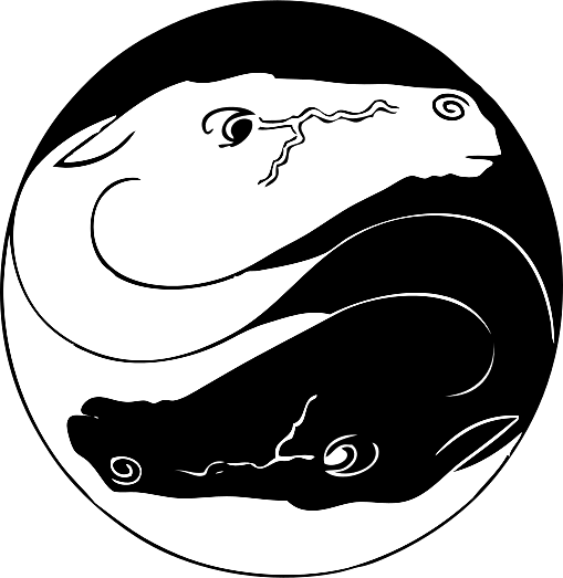 Yin Yang Horses