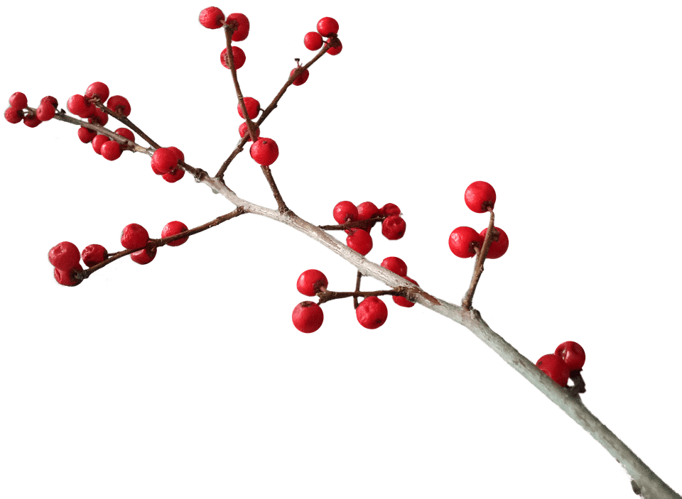 Christmas Branch Decoration