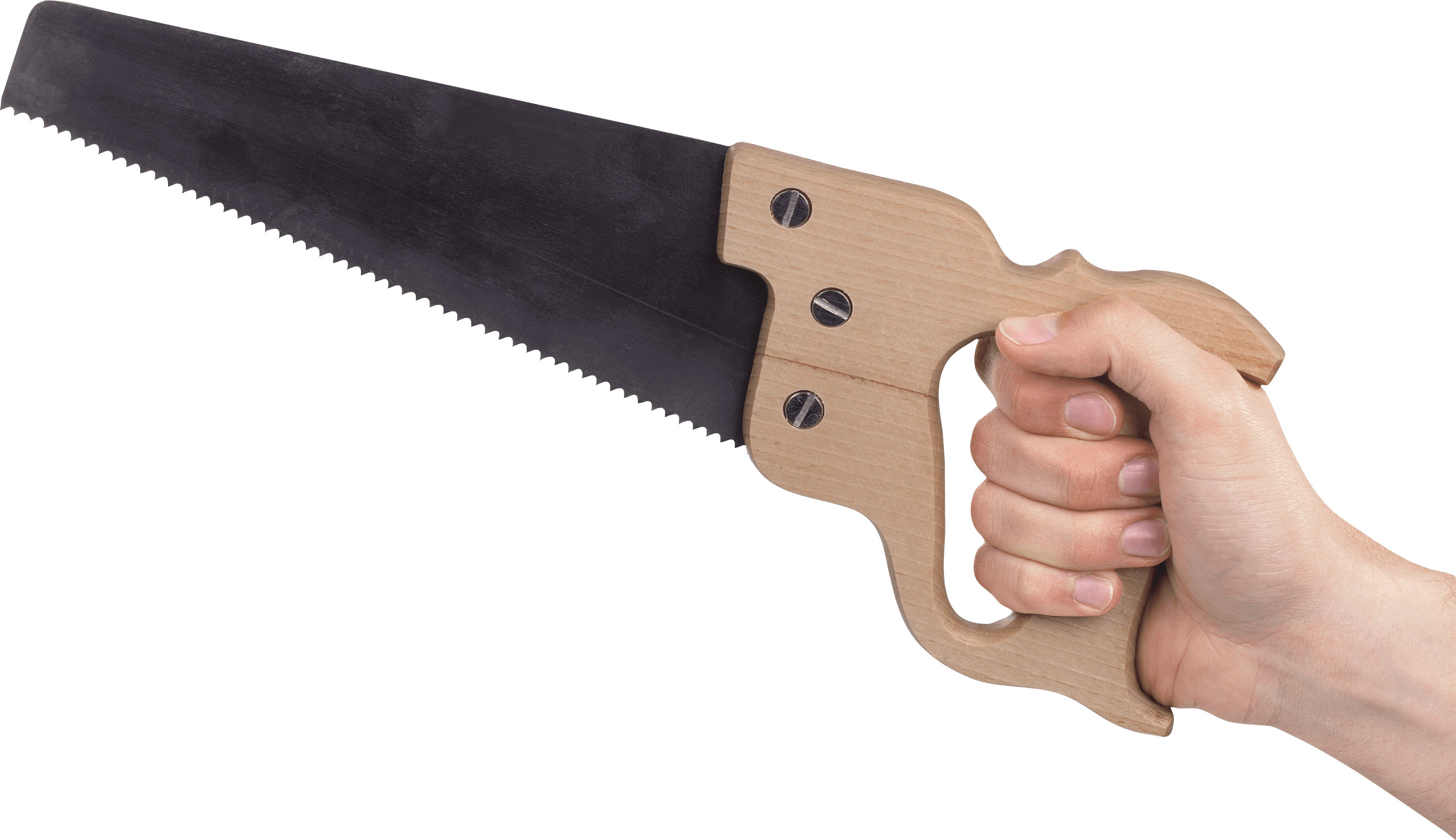 Hand Holding Saw