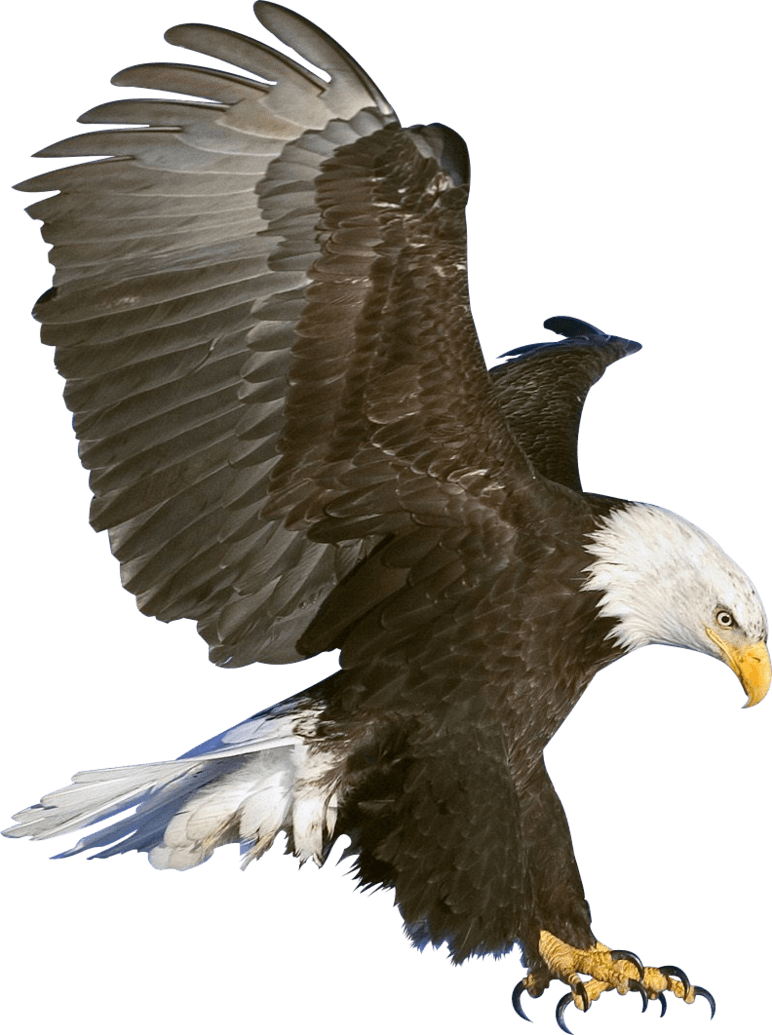 Eagle Claws