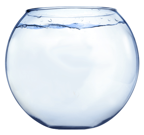 Fish Bowl