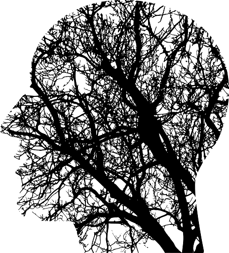 Abstract Human Brain Neural Connections