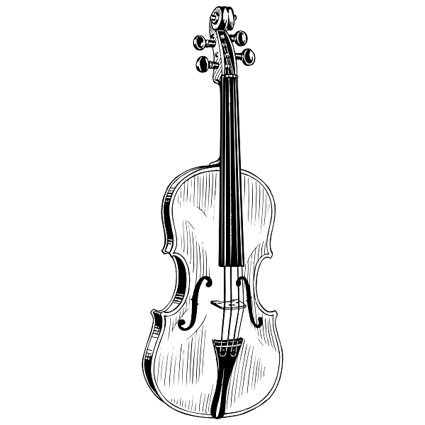 Violin Vintage Drawing