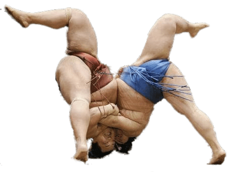 Sumo Wrestlers Upside Down