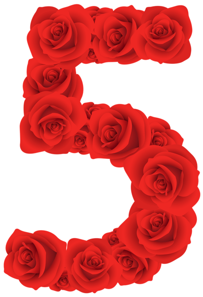 Red Roses Five Number