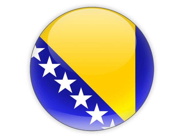 Bosnia Flag Icon