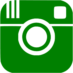 Green Instagram Icon