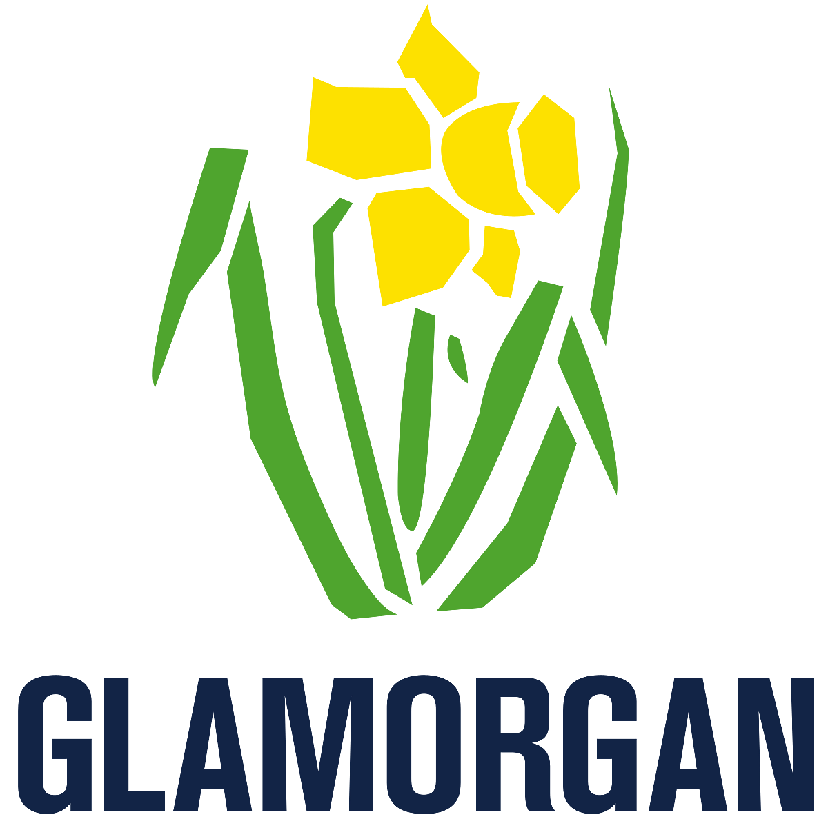 Glamorgan Cricket 