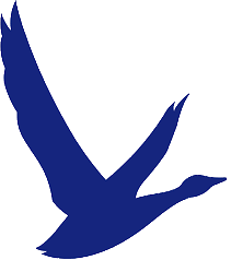 Grey Goose Thumbnail