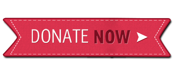 Donate Now Stitched Button